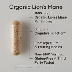 Organic Lion’s Mane