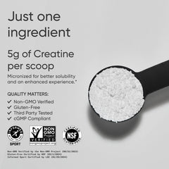 Creatine Monohydrate