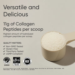 Collagen Peptides - Flavored